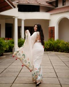 veena-nandakumar-photos-in-saree-011