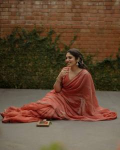 veena-nandakumar-photos-in-saree