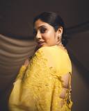 veena-nandakumar-in-yellow-saree-with-designer-blouse-photos-002