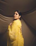 veena-nandakumar-in-yellow-saree-with-designer-blouse-photos-005