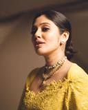 veena-nandakumar-in-yellow-saree-with-designer-blouse-photos