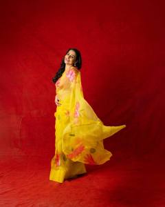 vidya-balan-in-latest-trending-saree-ideas-photos-019