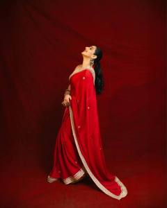 vidya-balan-in-latest-trending-saree-ideas-photos-025