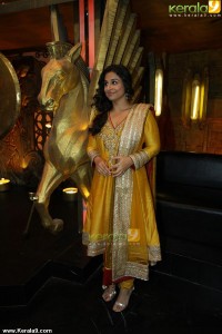 vidya-balan-photos-0015