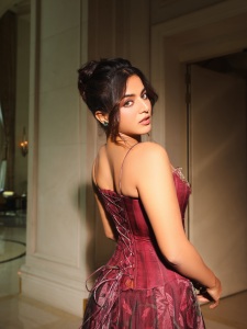 wamiqa-gabbi-in-function-wear-dress-style-ideas-photos