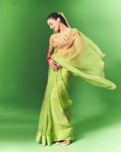 wamiqa-gabbi-in-saree-with-butterfly-style-design-photos-014