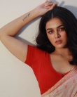 Wamiqa Gabbi latest saree photoshoot (1)