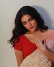 Wamiqa Gabbi latest saree photoshoot (2)