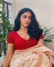 Wamiqa Gabbi saree latest images-002