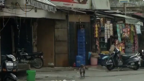 Protest in Kashmir again; Curfew restored 1 kashmir