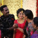 senthil krishna rajamani wedding reception photos 077