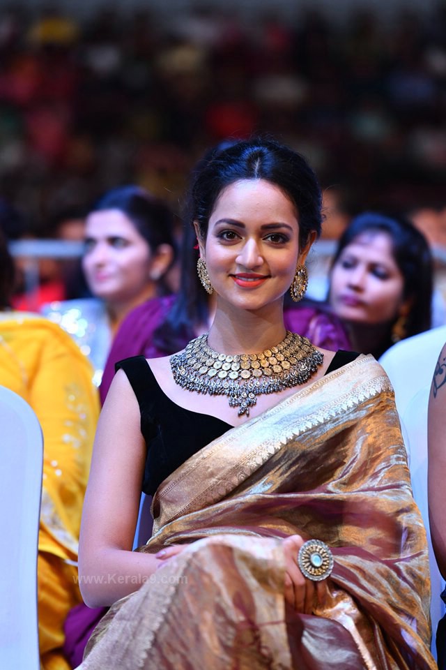siima film awards 2019 pictures 008
