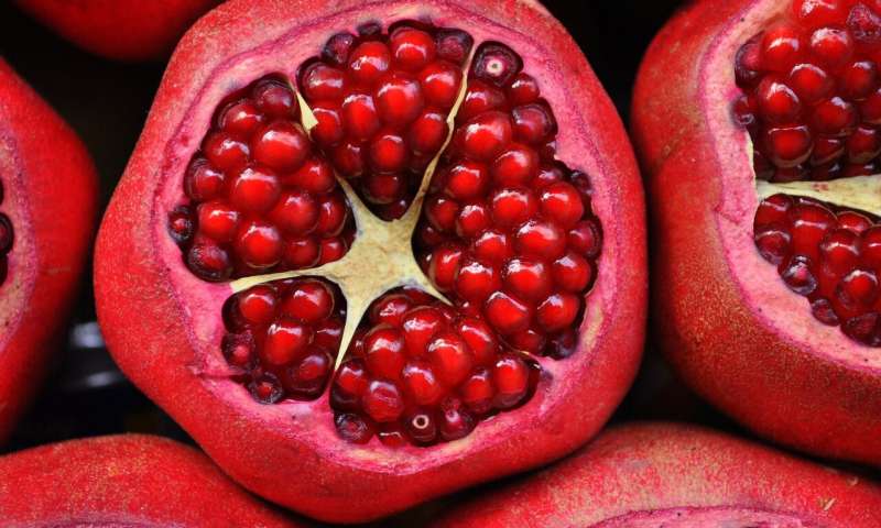 pomegranate