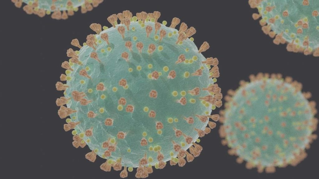 COVID-19; 27 new positive cases recorded in India 1 Covid 19 2