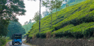 Munnar