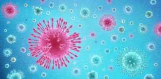 Corona Virus