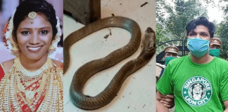 Uthra murder