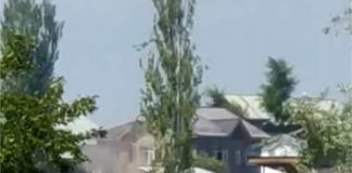 Kashmir
