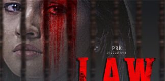 law kannada movie review