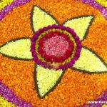 Athapookkalam Photos 11