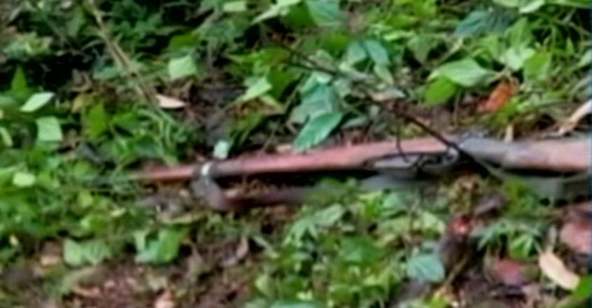 maoist attack wayanad kerala - Kerala9.com