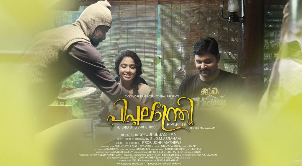 piplantri movie posters 003