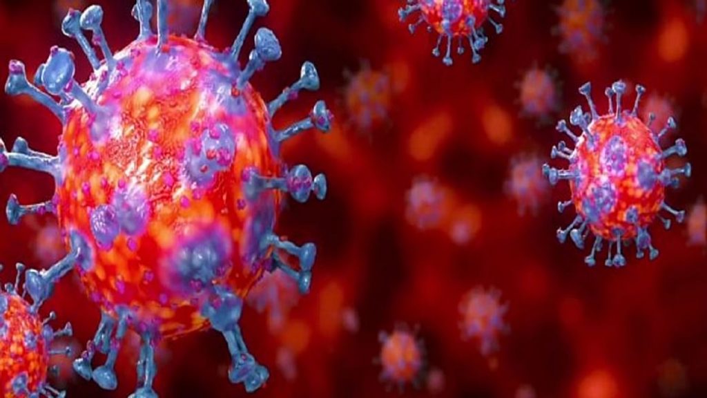 Mutant Coronavirus - Kerala9.com Mutant Coronavirus - Kerala9.com