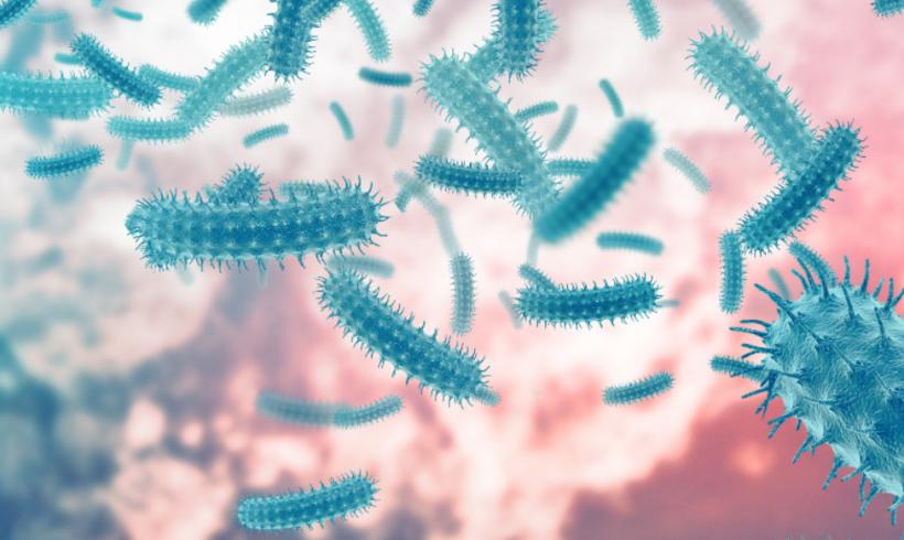 Shigella - Kerala9.com Shigella - Kerala9.com