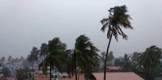 Strong wind kerala