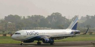 Indigo offers