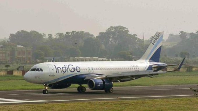 Indigo offers