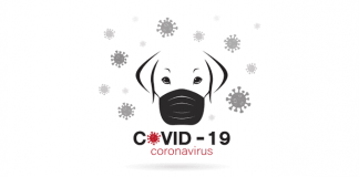 Carriage of pets covid