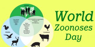 Zoonotic Diseases