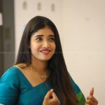 alina padikkal marriage photos 005