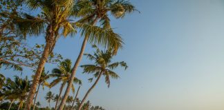 beach