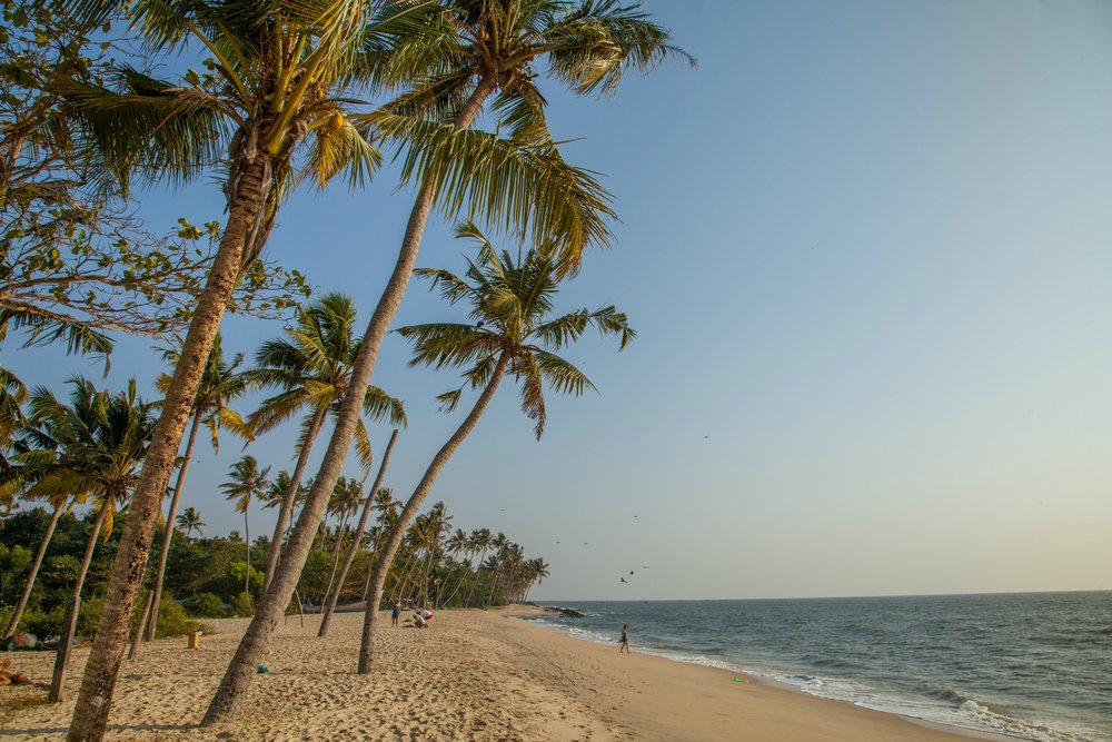 beach - Kerala9.com beach