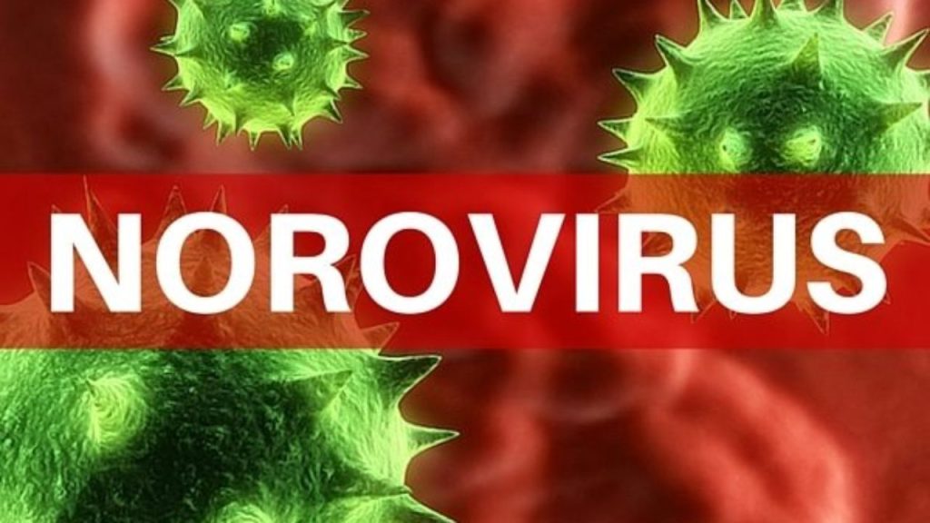 norovirus 1 - Kerala9.com norovirus 1