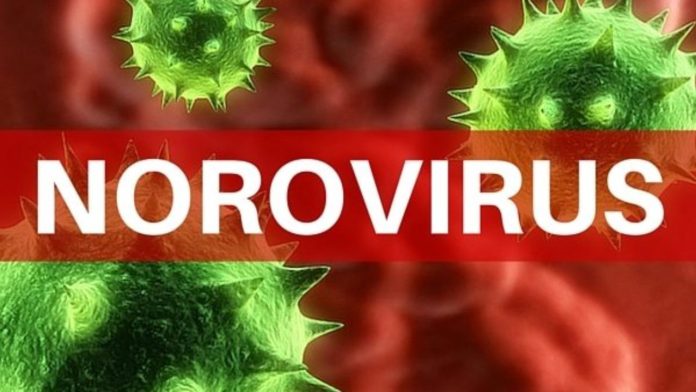 norovirus 1