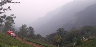 Coonoor Chopper