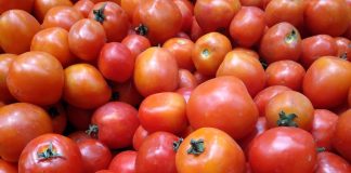 Tomato carts