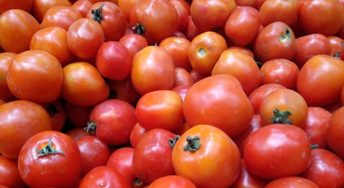 Tomato carts