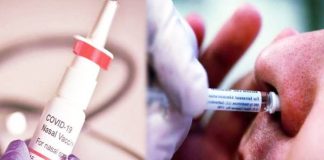 nasal vaccine india