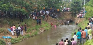 adoor news