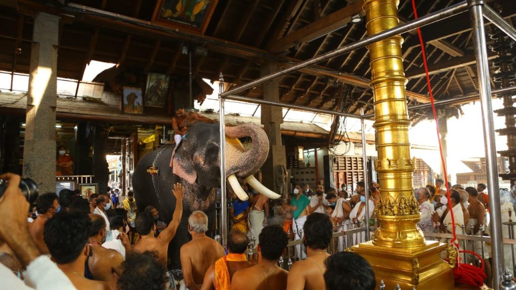 guruvayoor temple elephants race photos 001