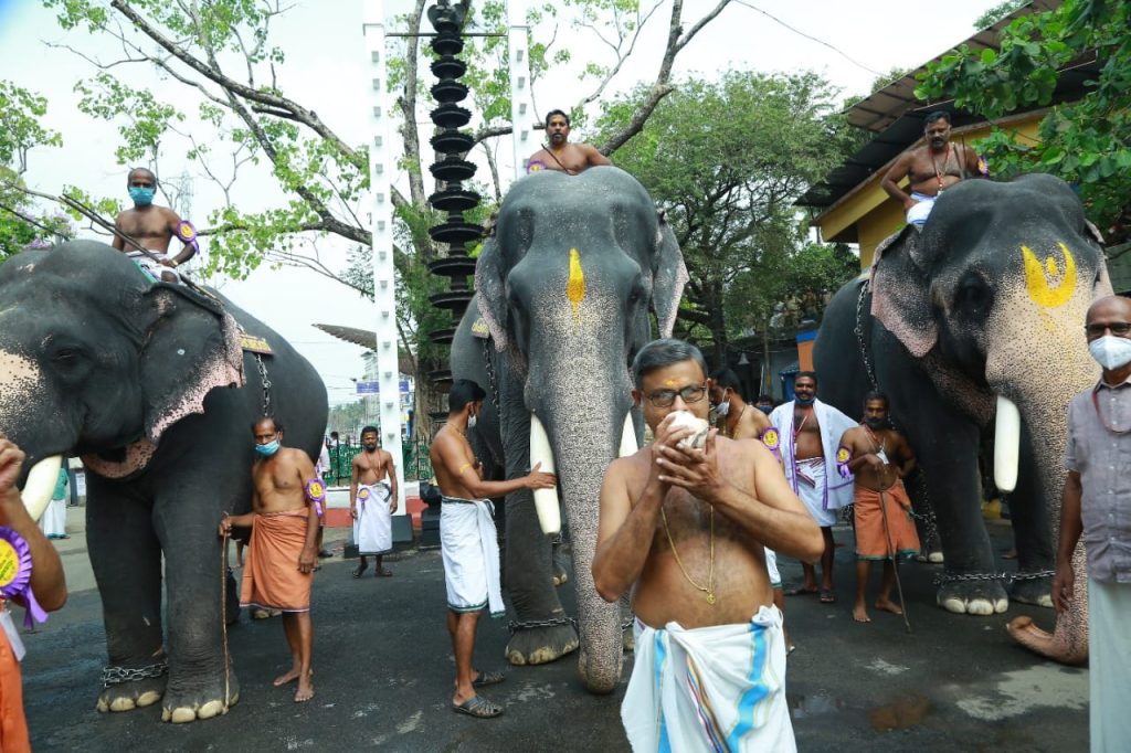 guruvayoor temple elephants race photos 002
