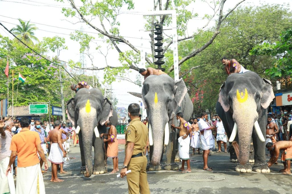 guruvayoor temple elephants race photos 003