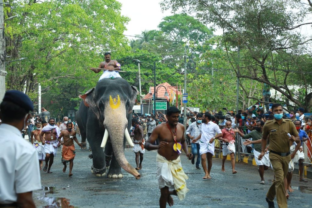 guruvayoor temple elephants race photos 005