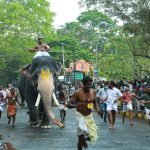 guruvayoor temple elephants race photos 005