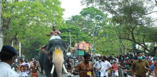 guruvayoor temple elephants race photos 005