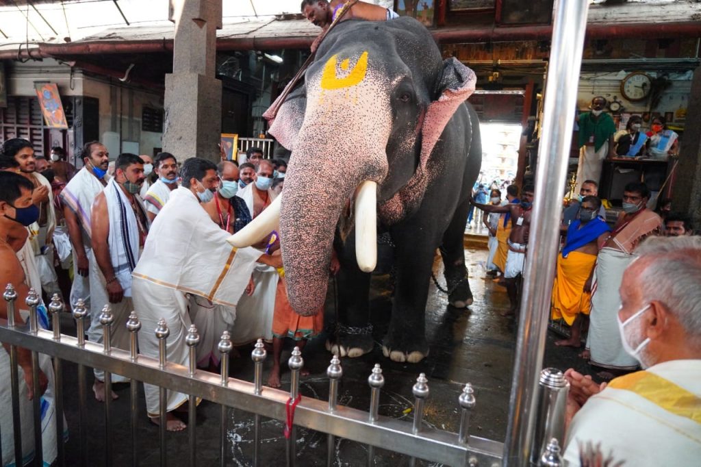 guruvayoor temple elephants race photos